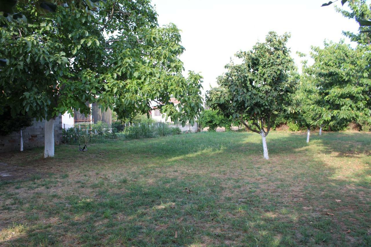 קראמוטי Maria'S Guesthouse מראה חיצוני תמונה