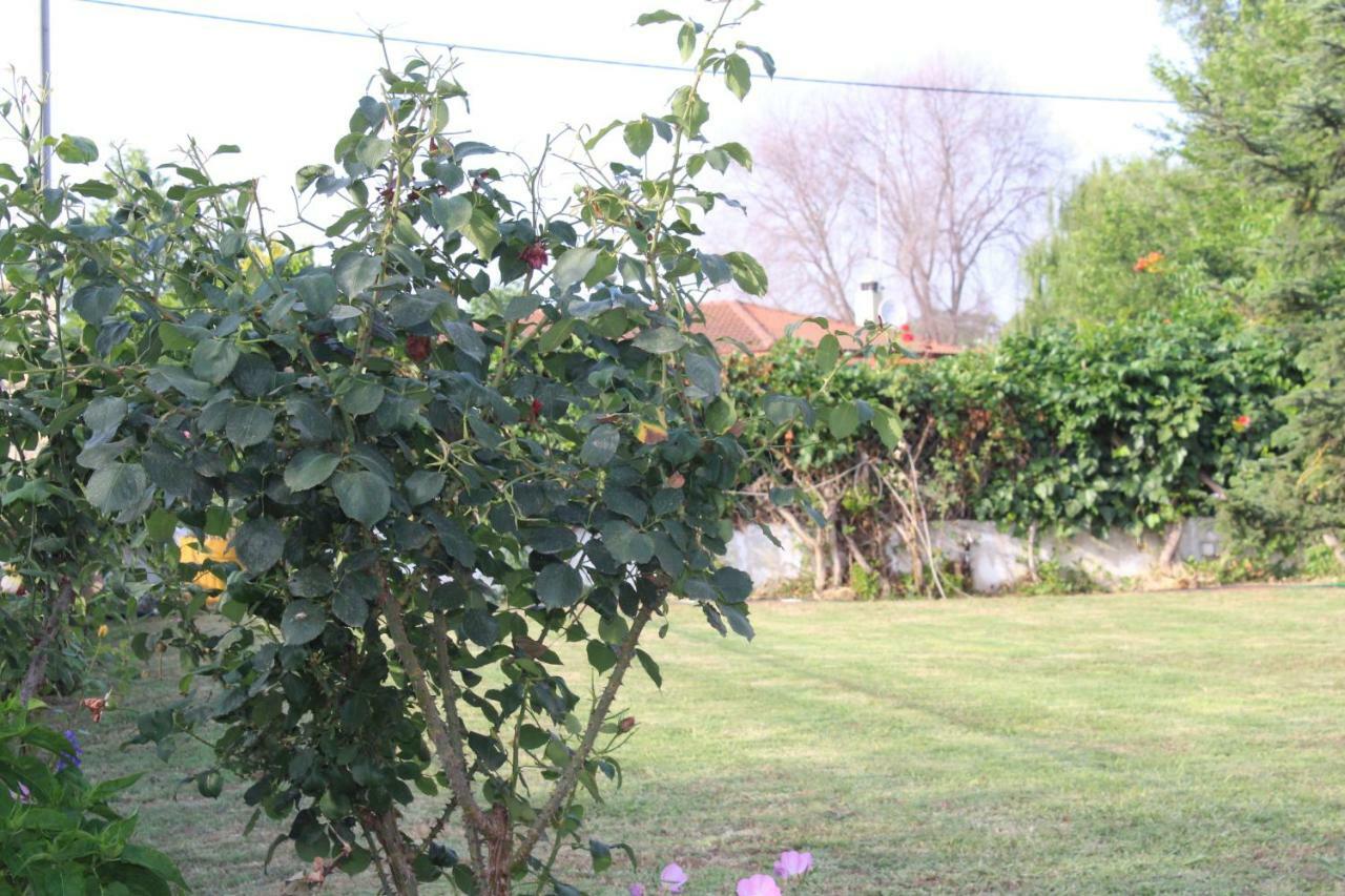 קראמוטי Maria'S Guesthouse מראה חיצוני תמונה